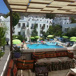 Alta Turgutreis